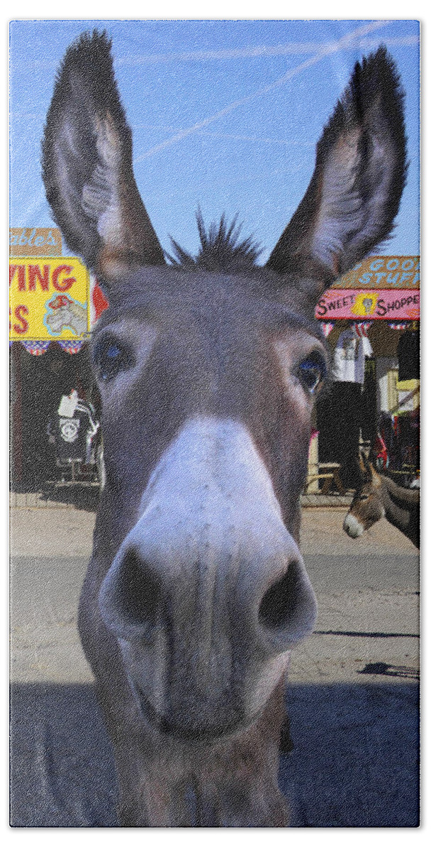 Donkey Bath Towel featuring the photograph What . . . No Carrots by Mike McGlothlen