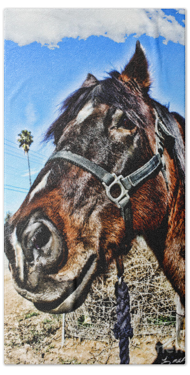 Horse Hand Towel featuring the photograph What you looking at by Tommy Anderson