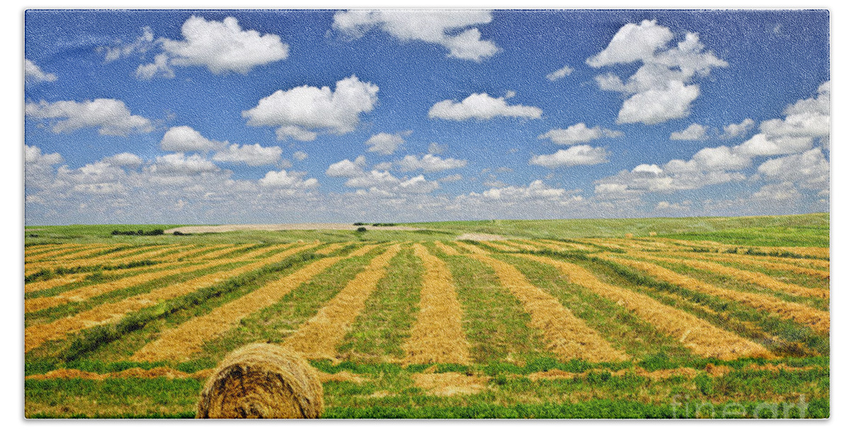 Agriculture Bath Towel featuring the photograph Wheat farm field and hay bales at harvest in Saskatchewan by Elena Elisseeva