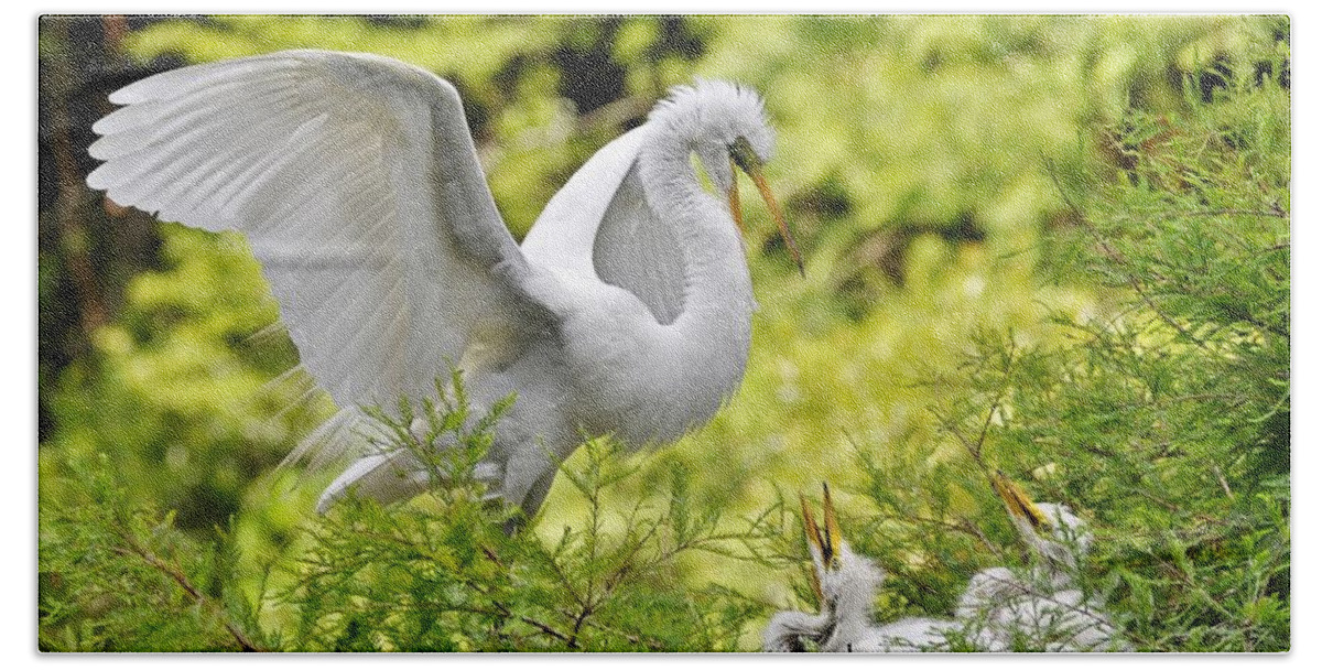 Egret Bath Towel featuring the photograph Where's Our Lunch Ma by Kathy Baccari
