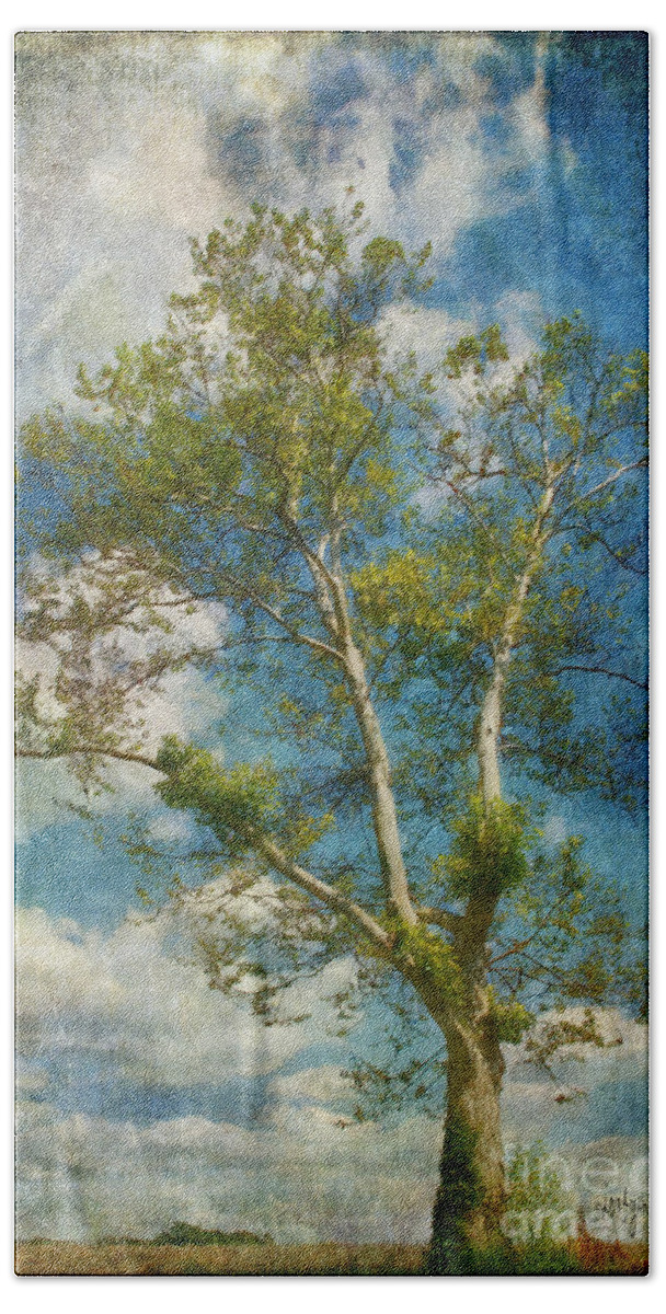 Tree Bath Towel featuring the photograph White Birch In May by Lois Bryan