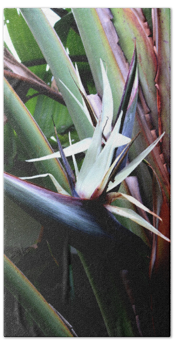 Tropical Bath Towel featuring the photograph White Bird of Paradise by Donna Walsh