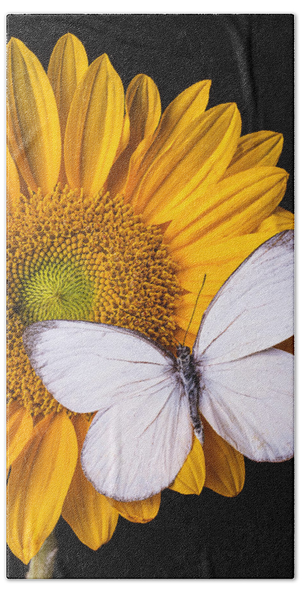 Sunflower Bath Towel featuring the photograph White Butterfly on Sunflower by Garry Gay