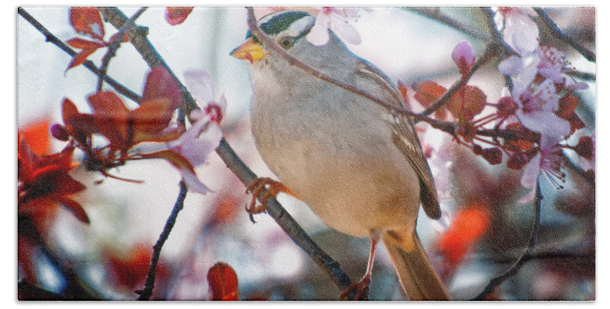 Birds Bath Towel featuring the photograph White-crowned Sparrow by Jim Thompson