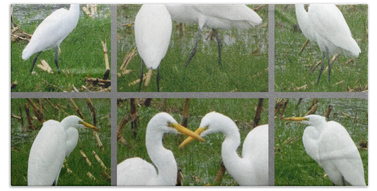 Birds Bath Towel featuring the photograph White Egrets by Gallery Of Hope 