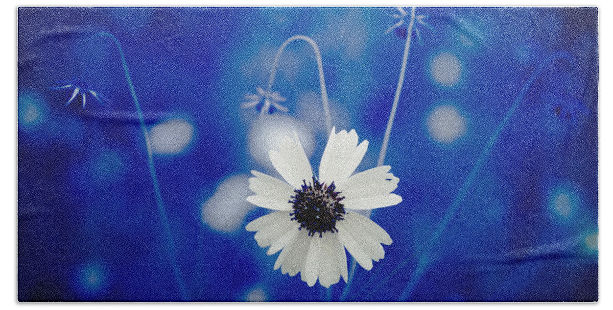 Art Hand Towel featuring the photograph White Flower by Darryl Dalton