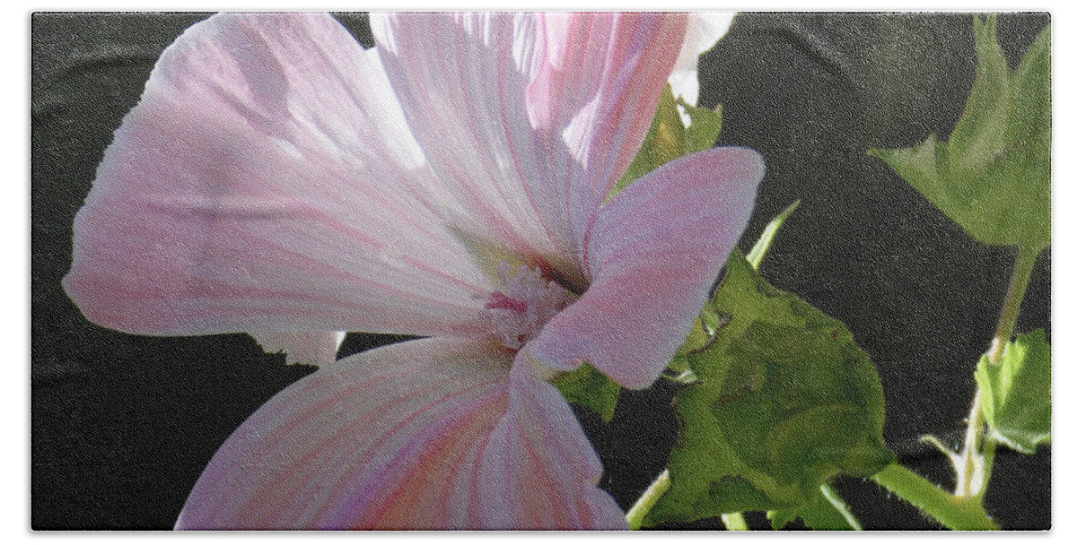 Tamara Kulish Bath Towel featuring the photograph White Flower in Michelles Garden by Tamara Kulish