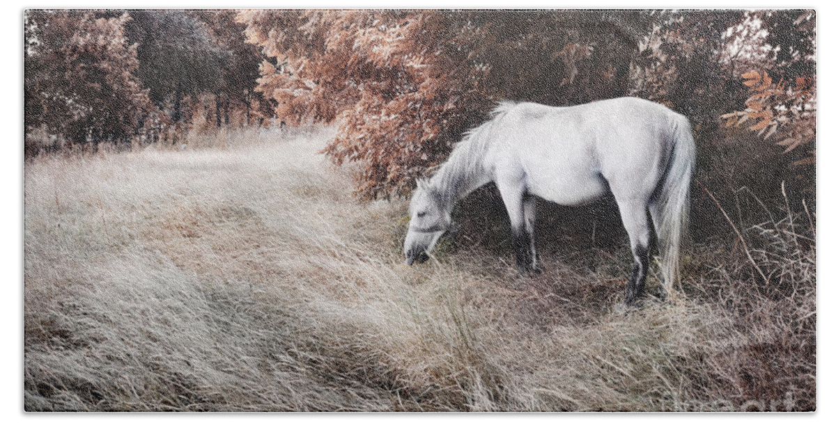 Horse Bath Towel featuring the photograph White horse by Jelena Jovanovic