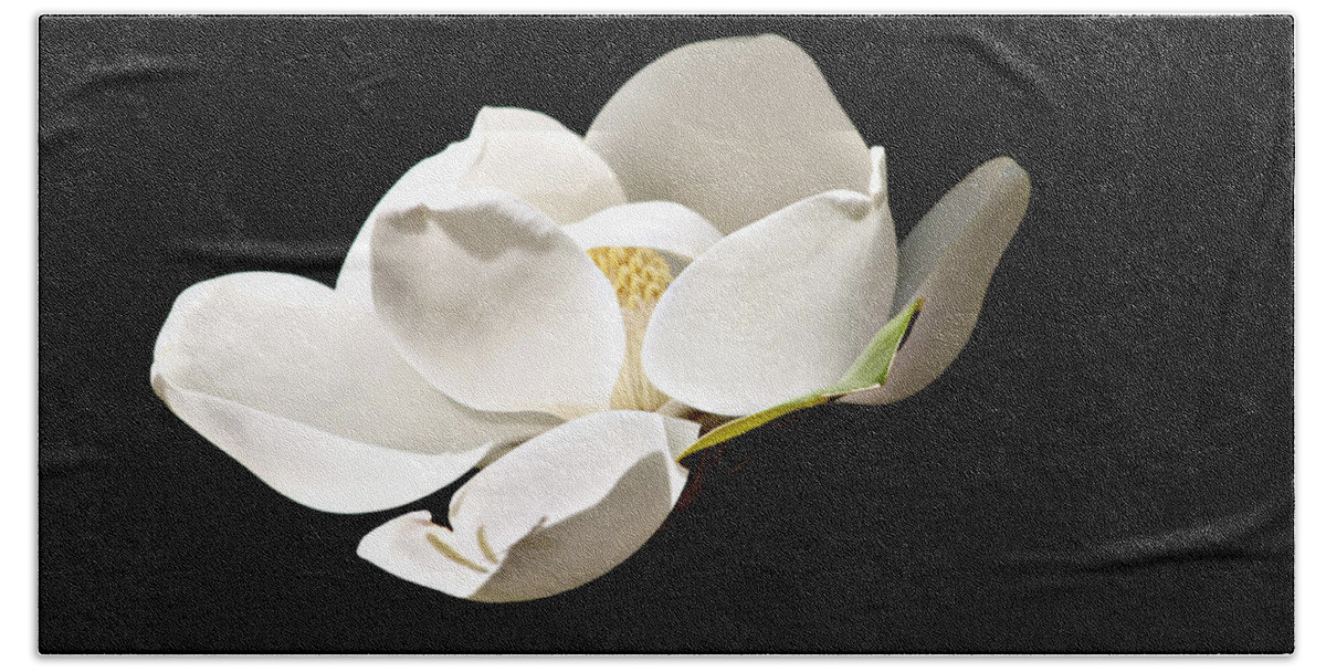 Magnolia Bath Towel featuring the photograph White Magnolia by Debra Forand