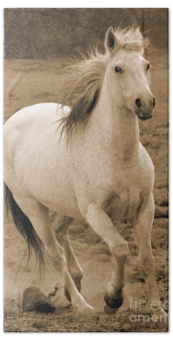 Rtf Ranch Hand Towel featuring the photograph White Mare Approaches Number One Close Up Sepia by Heather Kirk