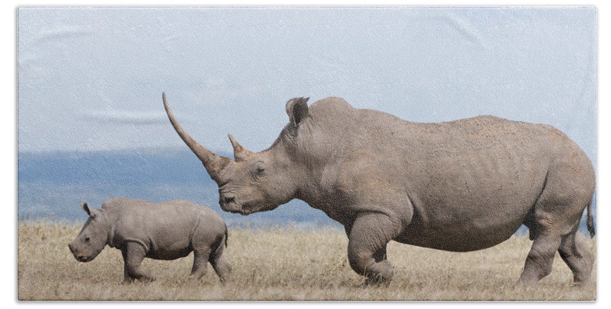 Feb0514 Bath Towel featuring the photograph White Rhinoceros And Calf Kenya by Tui De Roy