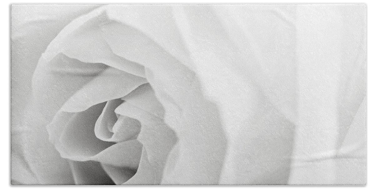 Rose Hand Towel featuring the photograph White rose by Elena Elisseeva