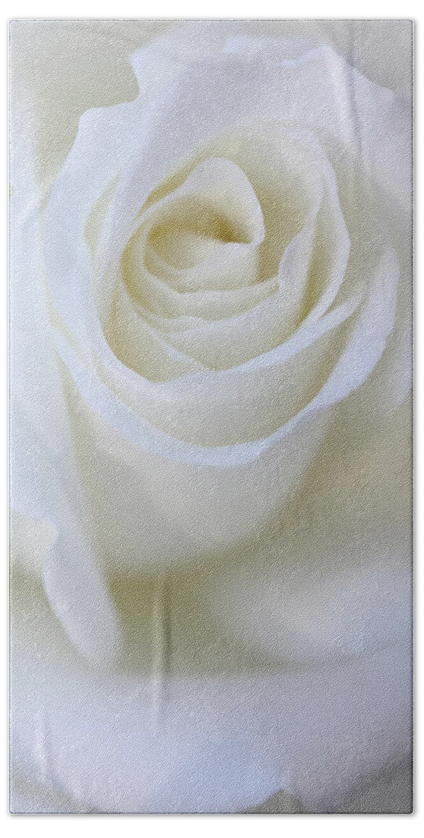 Rose Bath Towel featuring the photograph White Rose Floral Whispers by Jennie Marie Schell