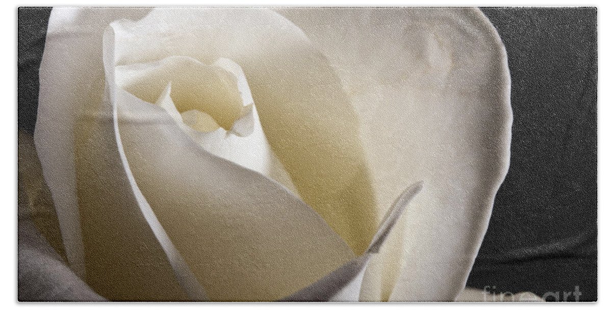 Beautiful Hand Towel featuring the photograph White Roses by Gunnar Orn Arnason