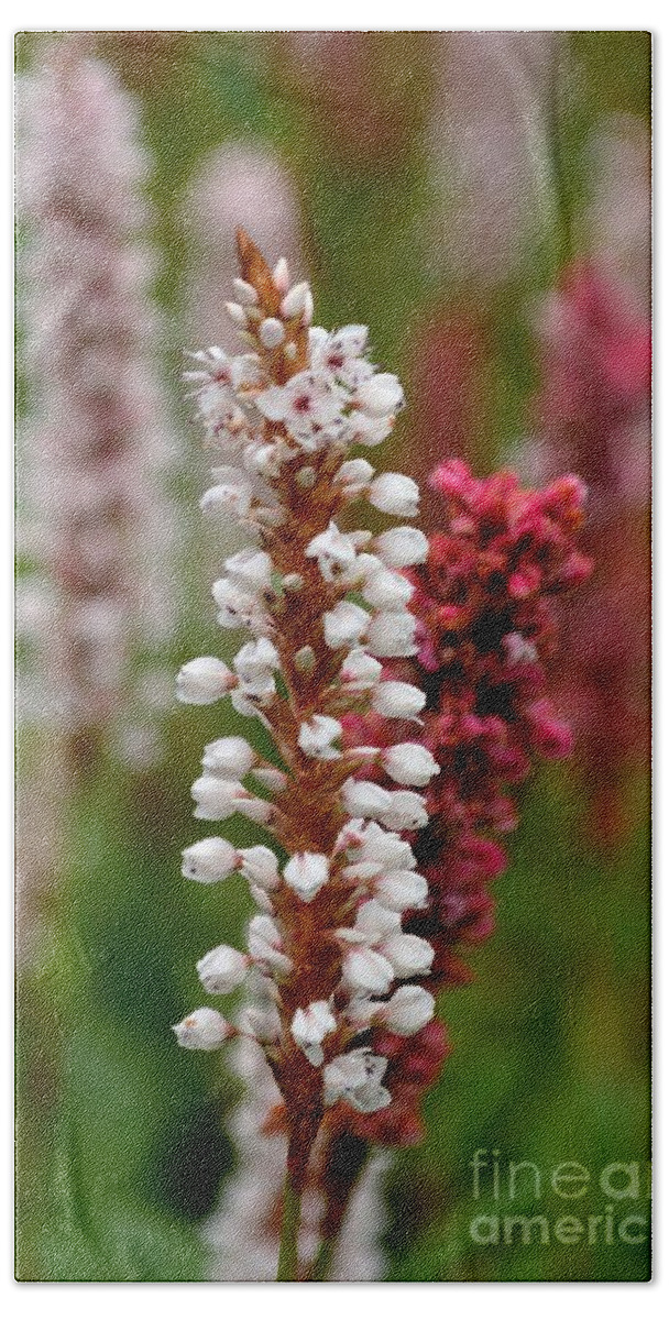 White Bath Towel featuring the photograph White Stalk Flower by Scott Lyons