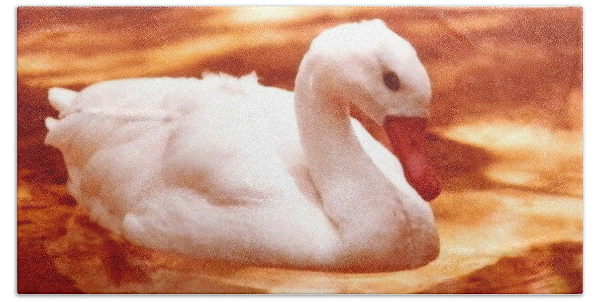 White Bath Towel featuring the photograph White Water Swan Beauty by Belinda Lee