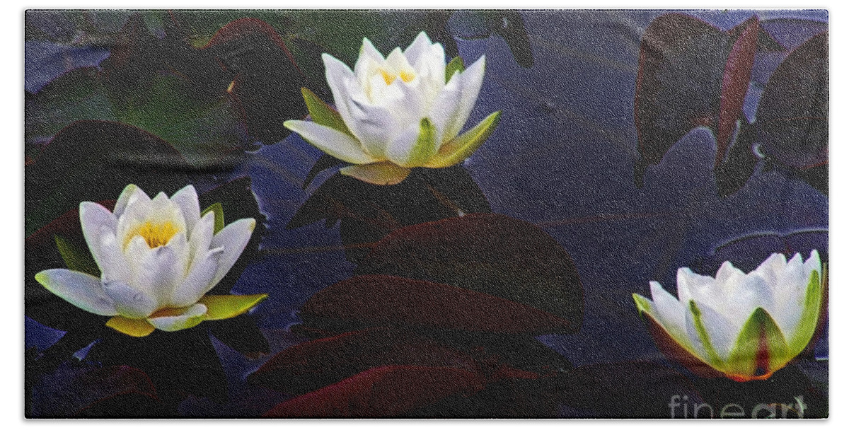 Water Lily Hand Towel featuring the photograph White Water Lilies by Nina Ficur Feenan