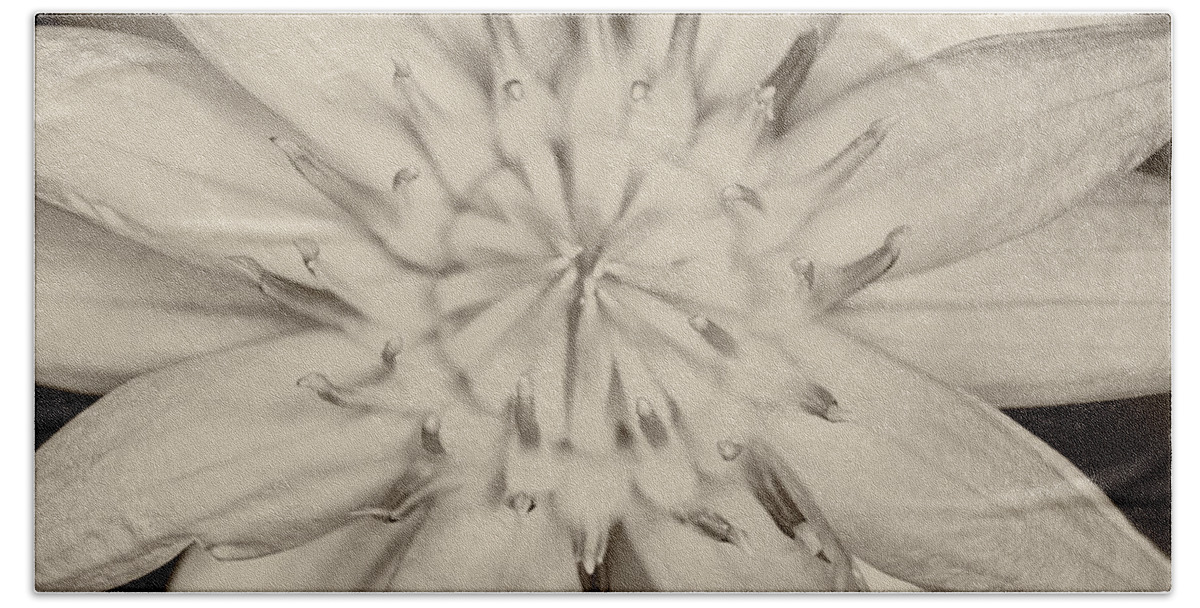White Bath Towel featuring the photograph Lotus #1 by U Schade
