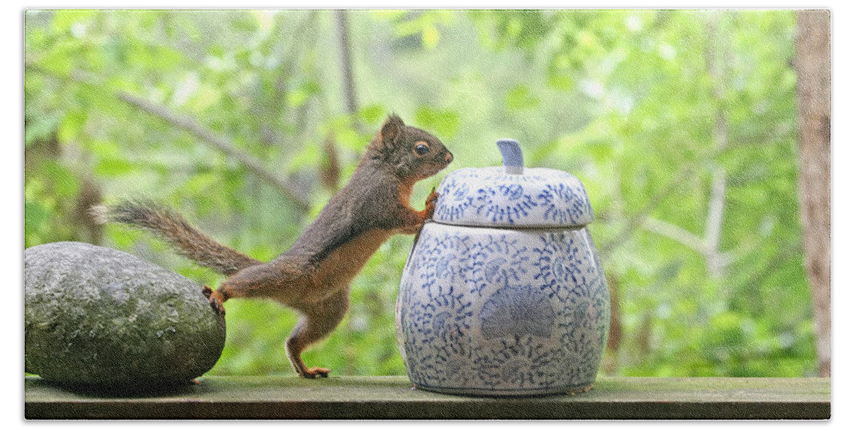 Squirrel Bath Towel featuring the photograph Who's Been in the Cookie Jar? by Peggy Collins