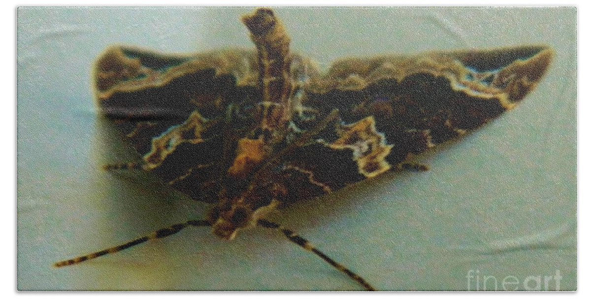 Moth Bath Towel featuring the photograph Wierd Moth 3 by Gallery Of Hope 