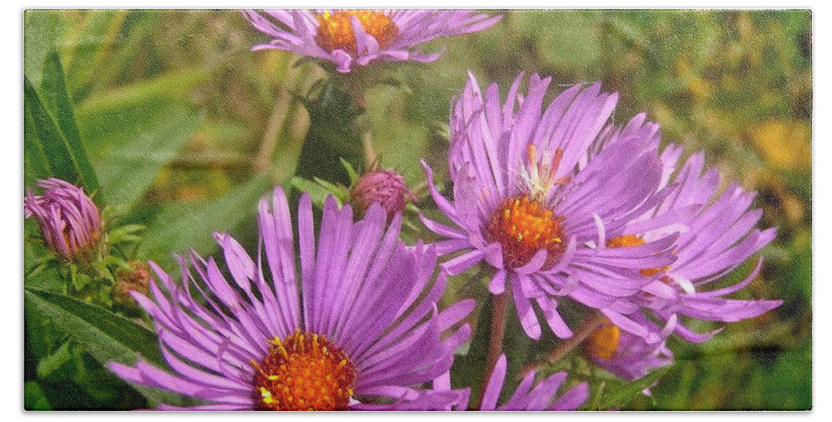 Flowers Bath Towel featuring the photograph Wild Asters by Stephanie Moore
