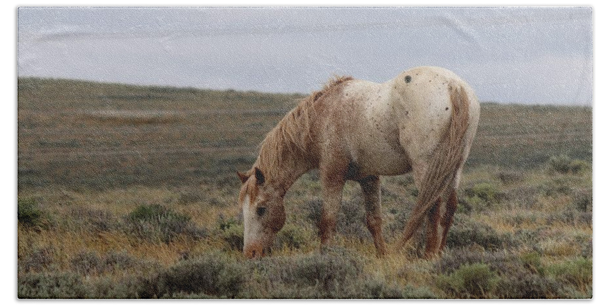 Wild Hand Towel featuring the photograph Wild Horse by Christy Pooschke