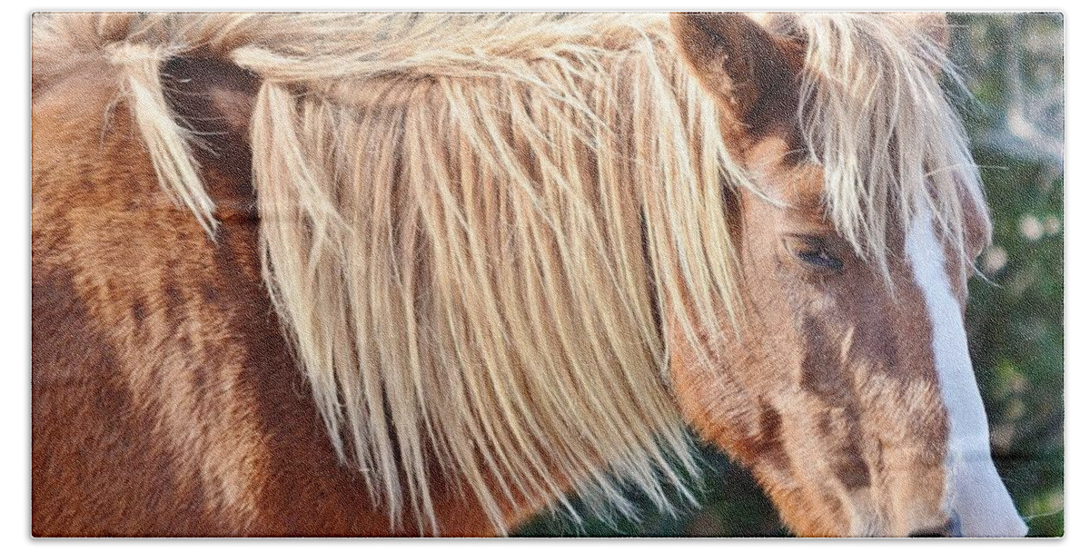 Horse Bath Towel featuring the photograph Wild Ponies of Assteague 20 by Kim Bemis