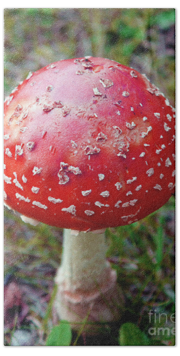 Nature Bath Towel featuring the photograph Wild Red Mushroom by Nina Silver