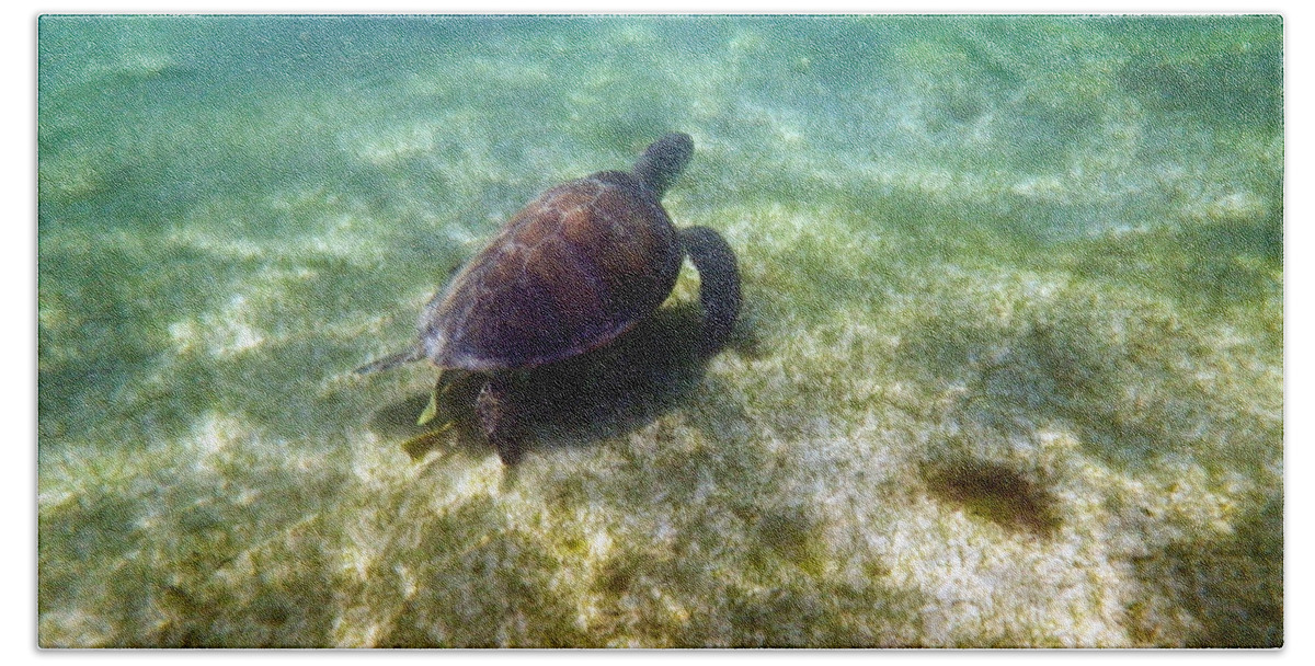 Sea Bath Towel featuring the photograph Wild sea turtle underwater by Eti Reid