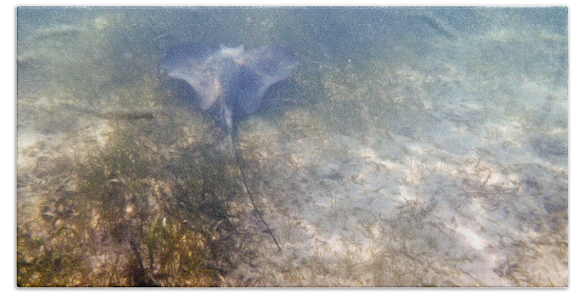 Underwater Bath Towel featuring the photograph Wild sting ray by Eti Reid
