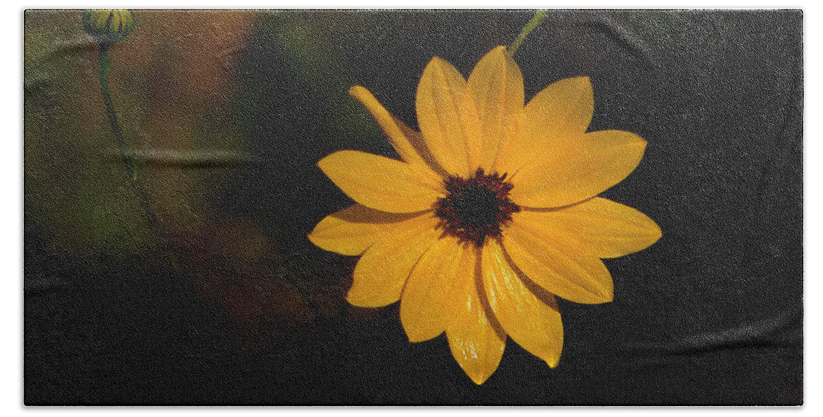 Flower Hand Towel featuring the photograph Wild Sunflower by Rosalie Scanlon
