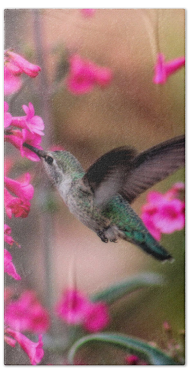Hummingbird Bath Towel featuring the photograph Wild thing by Tammy Espino