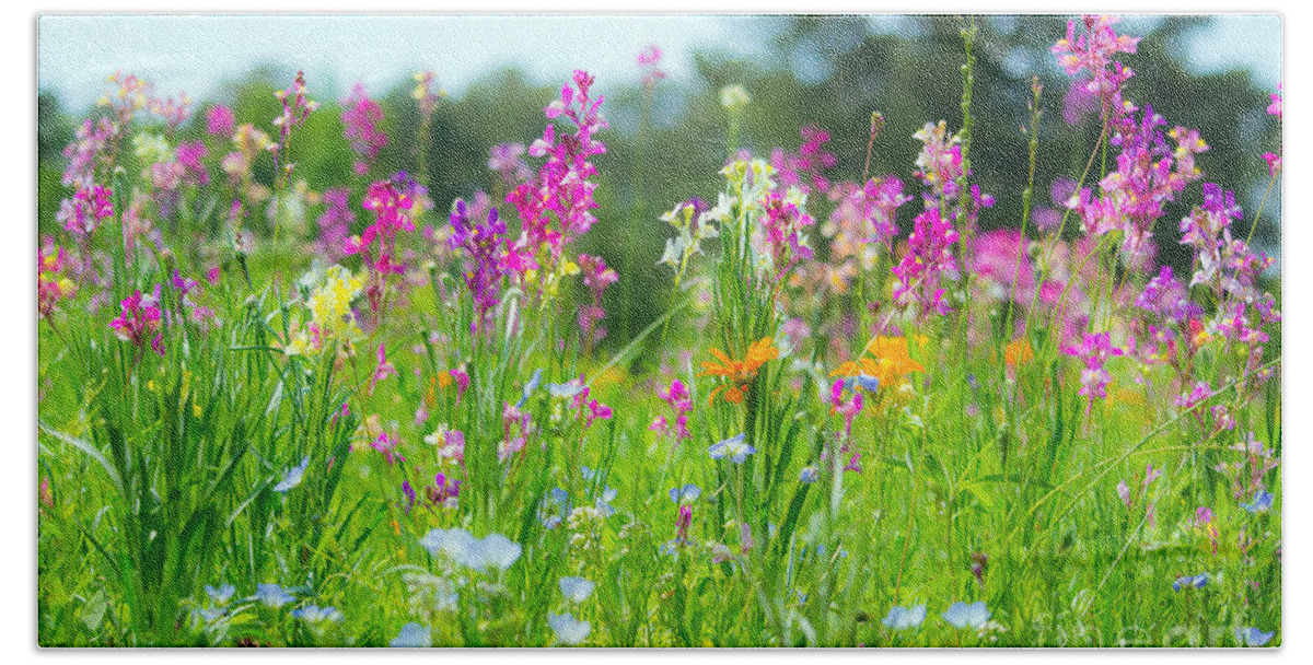 Wildflower Hand Towel featuring the photograph Wildflower Meadow Vibrant by Angela DeFrias