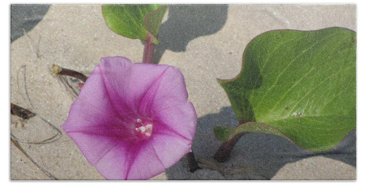 Wildflower Bath Towel featuring the photograph Wildflower on the Beach by Jimmie Bartlett