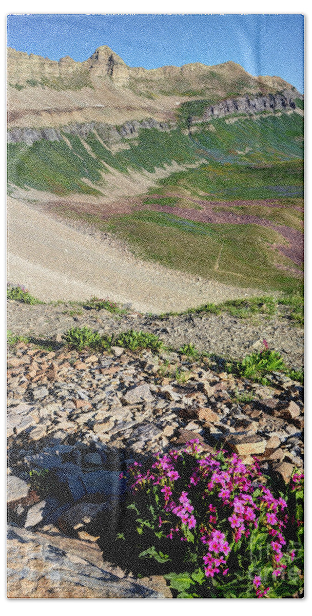 Mount Timpanogos Bath Towel featuring the photograph Wildflowers above Timpanogos Basin at Sunrise by Gary Whitton