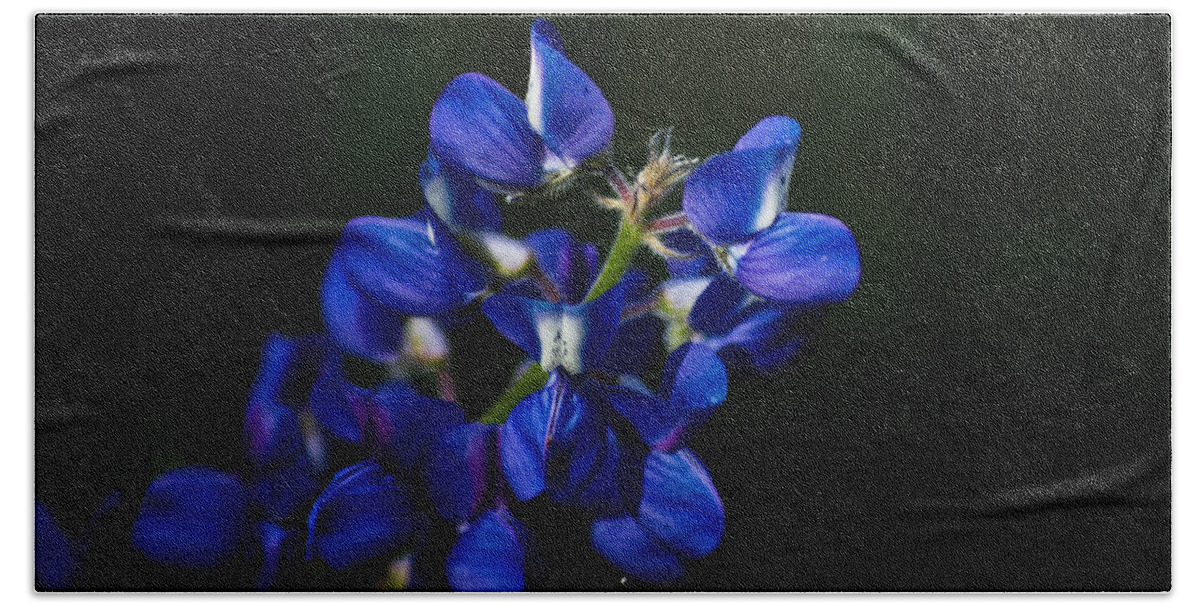 Flower Bath Sheet featuring the photograph Wildflowers in Blue by Patrick Moore