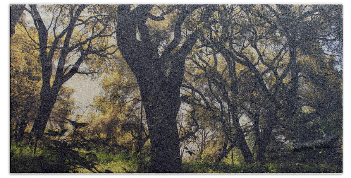 Dry Creek Hills Regional Park Hand Towel featuring the photograph Wildly and Desperately My Arms Reached Out to You by Laurie Search