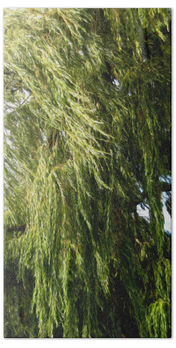 Wind Bath Towel featuring the photograph Wind In The Willow by Kathy Bassett