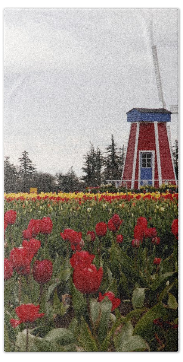 Windmill Hand Towel featuring the photograph Windmill Red Tulips by Athena Mckinzie