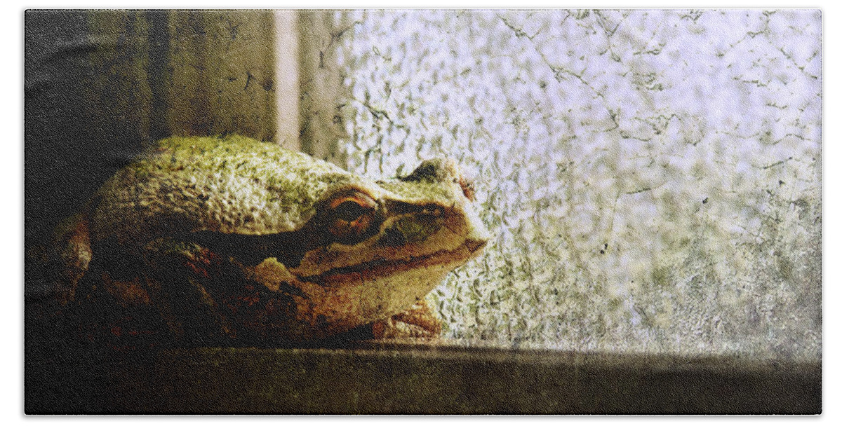 Frog Hand Towel featuring the photograph Windowsill Visitor by Micki Findlay