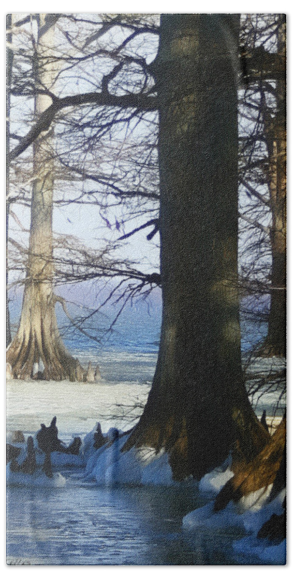 Reelfoot Lake Bath Towel featuring the photograph Winter at Reelfoot Lake by Bonnie Willis