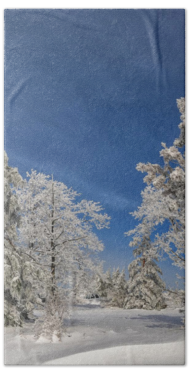 Snow Hand Towel featuring the photograph Winter Blues by Lois Bryan
