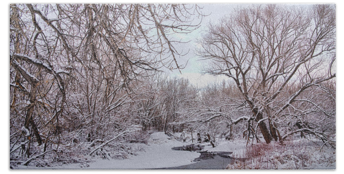 Winter Bath Towel featuring the photograph Winter Creek by James BO Insogna