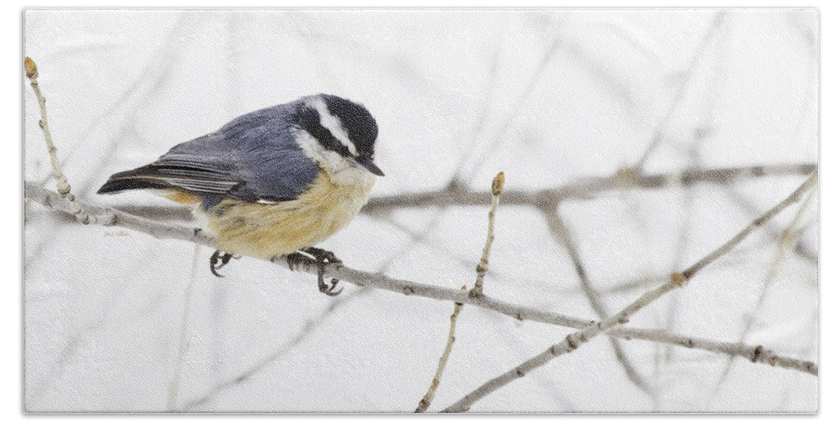 Nuthatch Hand Towel featuring the photograph Winter Day by Jan Killian