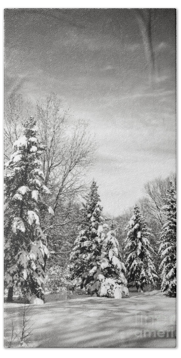 Winter Bath Towel featuring the photograph Winter forest in black and white by Elena Elisseeva