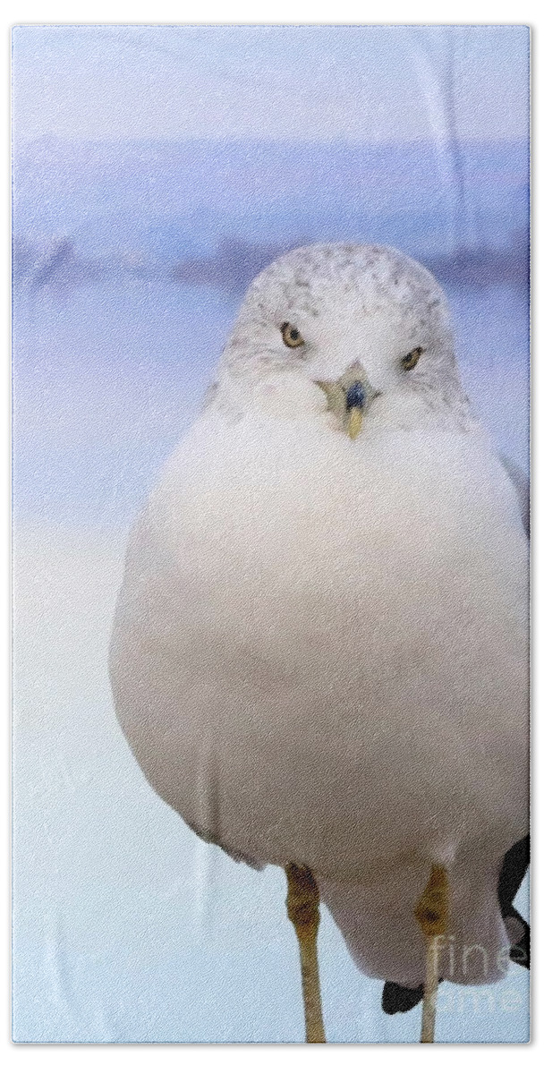 Ring-billed Gull Bath Towel featuring the photograph Winter Gull by Carol Groenen