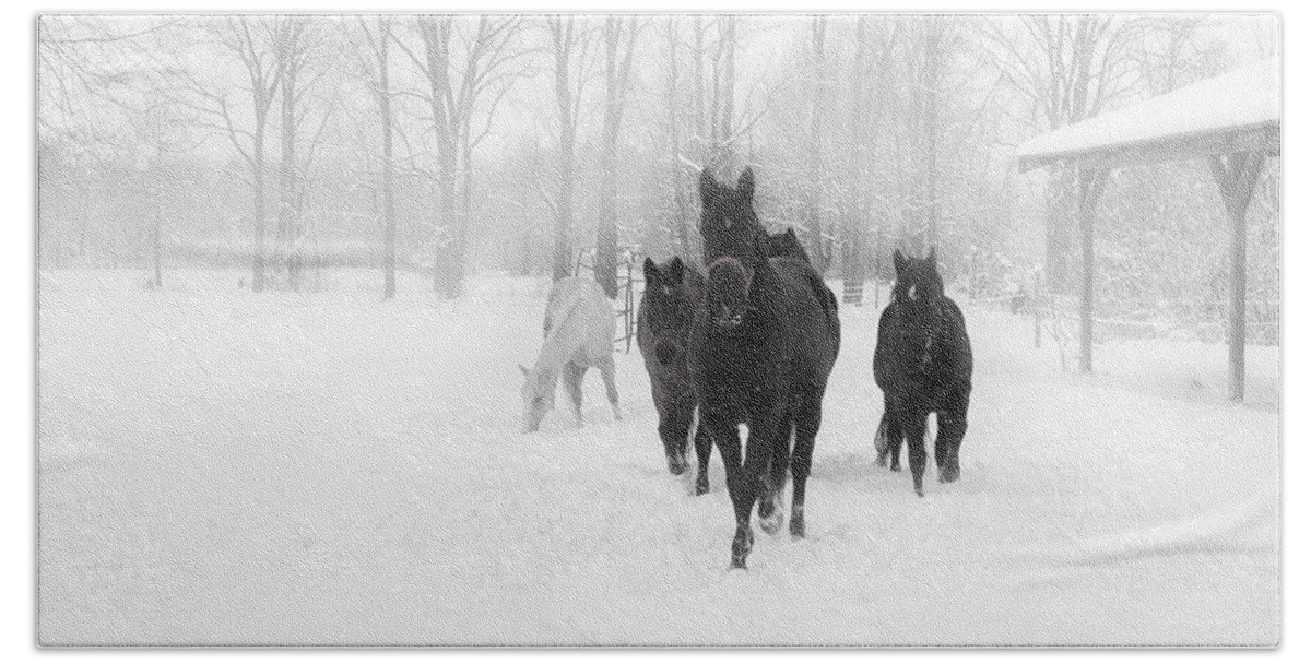 Horses Bath Towel featuring the photograph Winter Horses by Karen Varnas