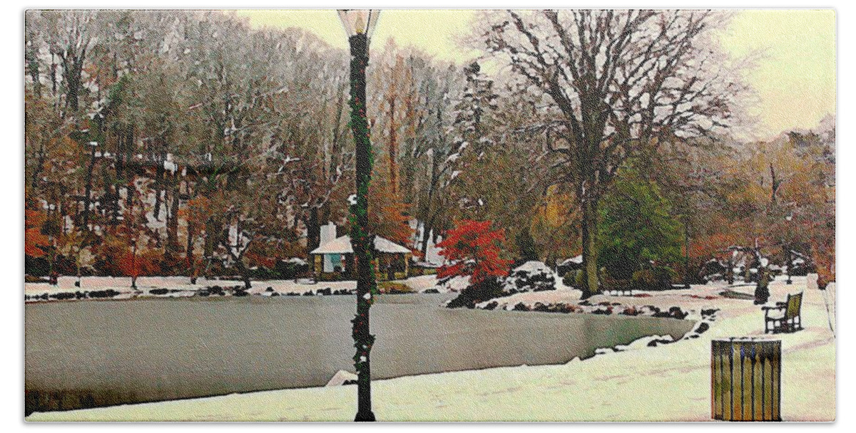 Binney Park Hand Towel featuring the photograph Winter In The Park by Judy Palkimas