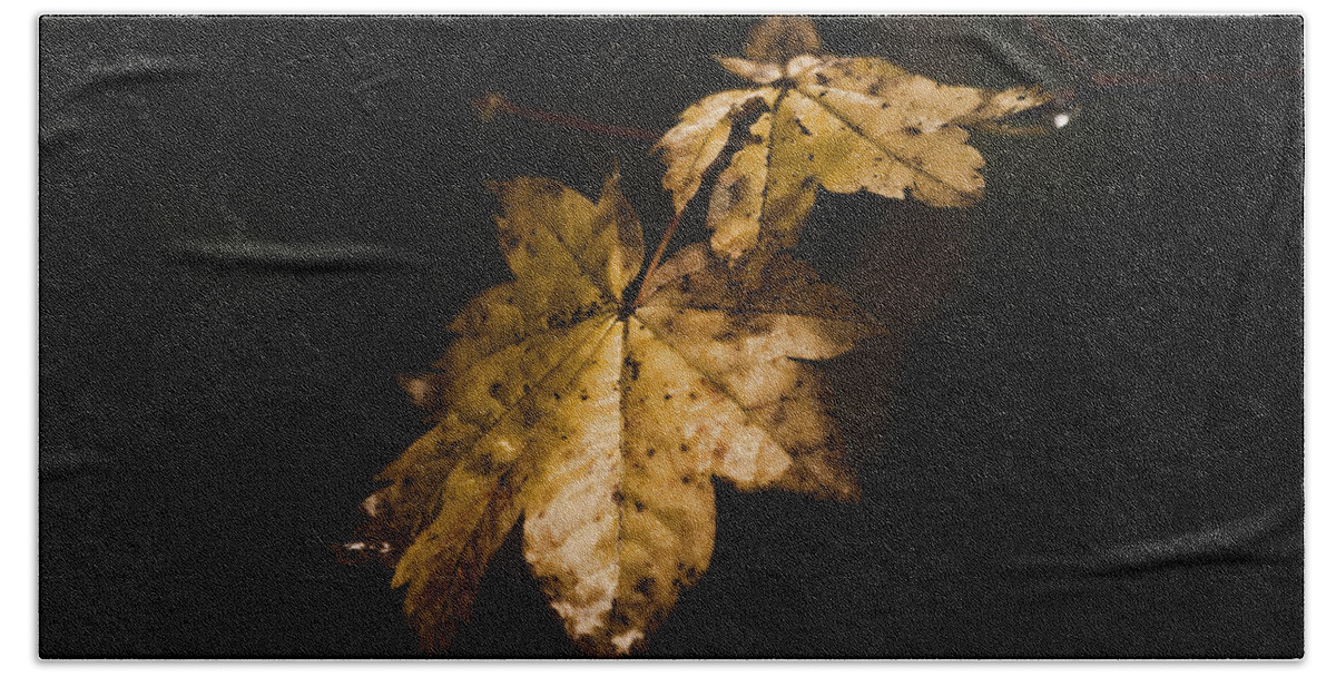 Winter Bath Towel featuring the photograph Winter Leaves by Ron Roberts