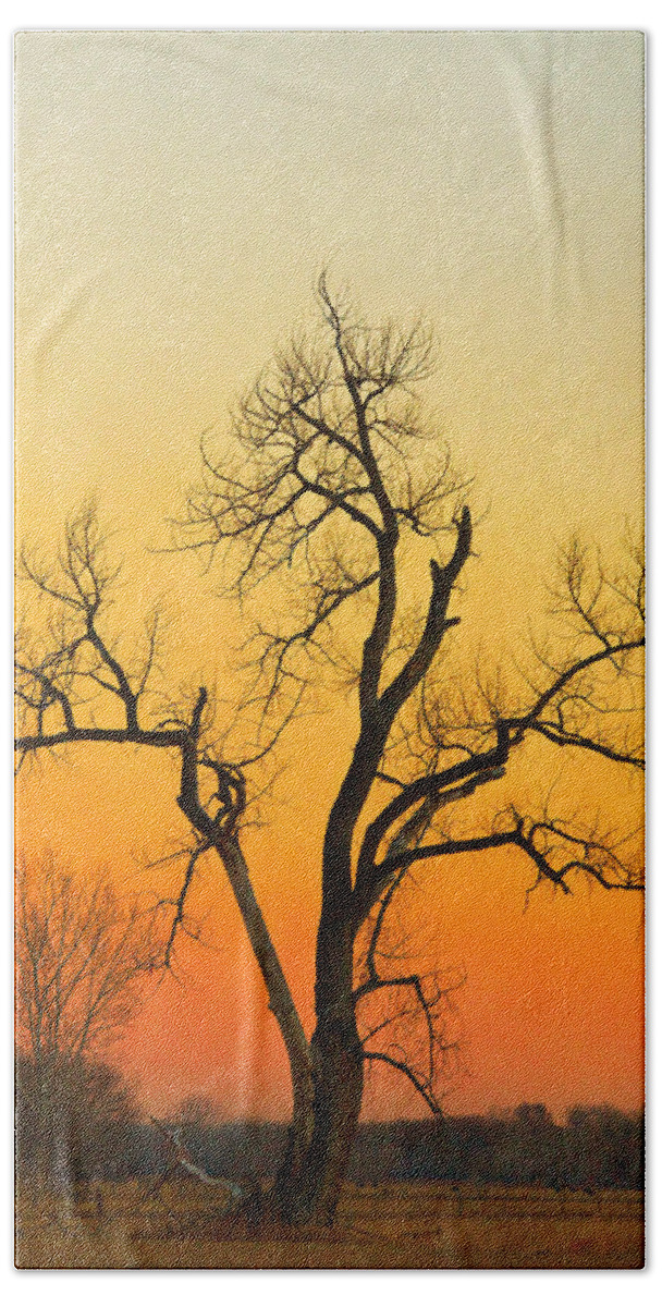 Tree Bath Towel featuring the photograph Winter Season Sunset Tree by James BO Insogna